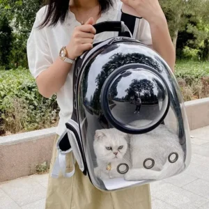 Transparent Cat Backpack